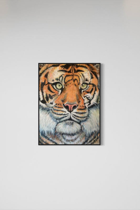 Only the Tigers Survive