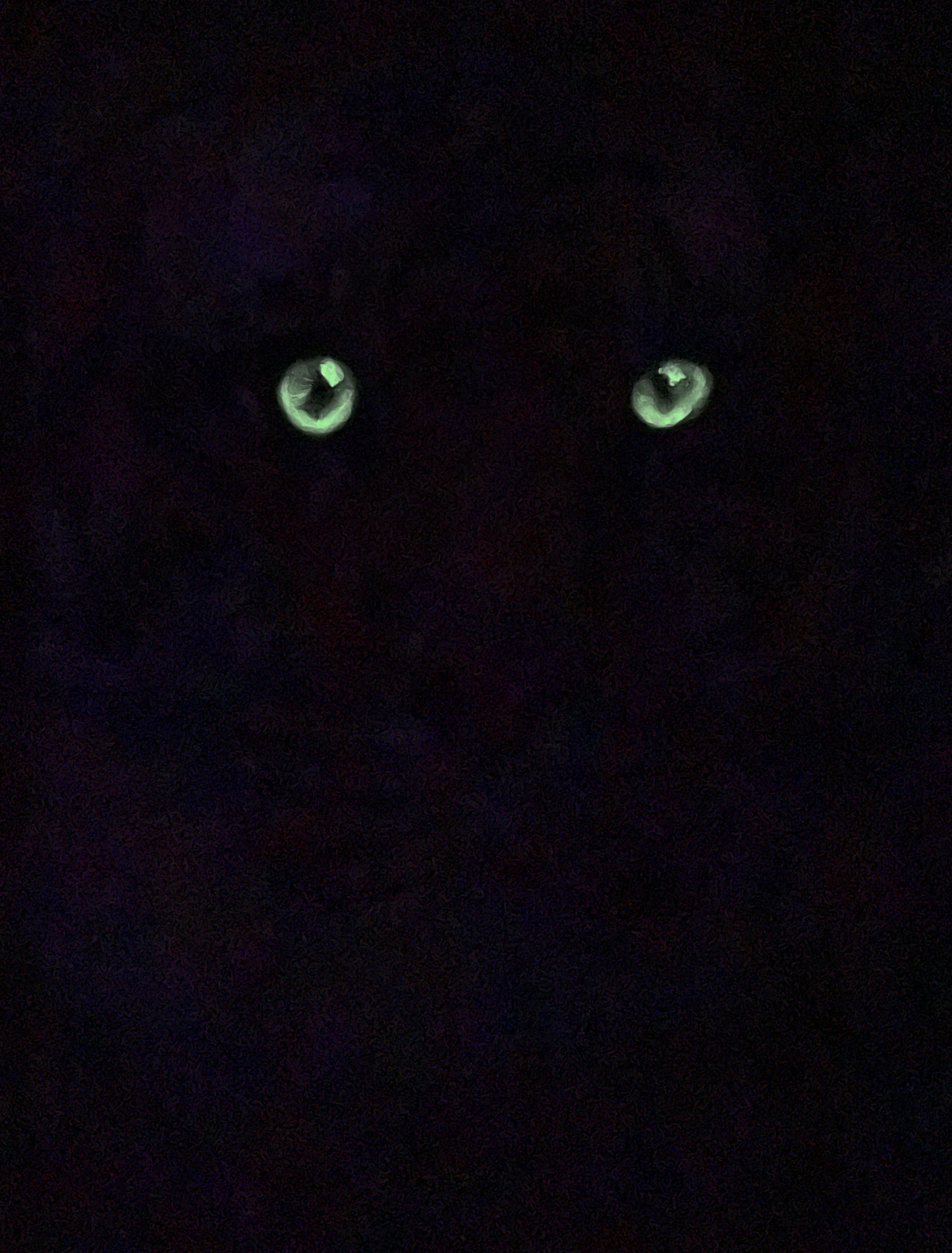 Only the Tigers Survive