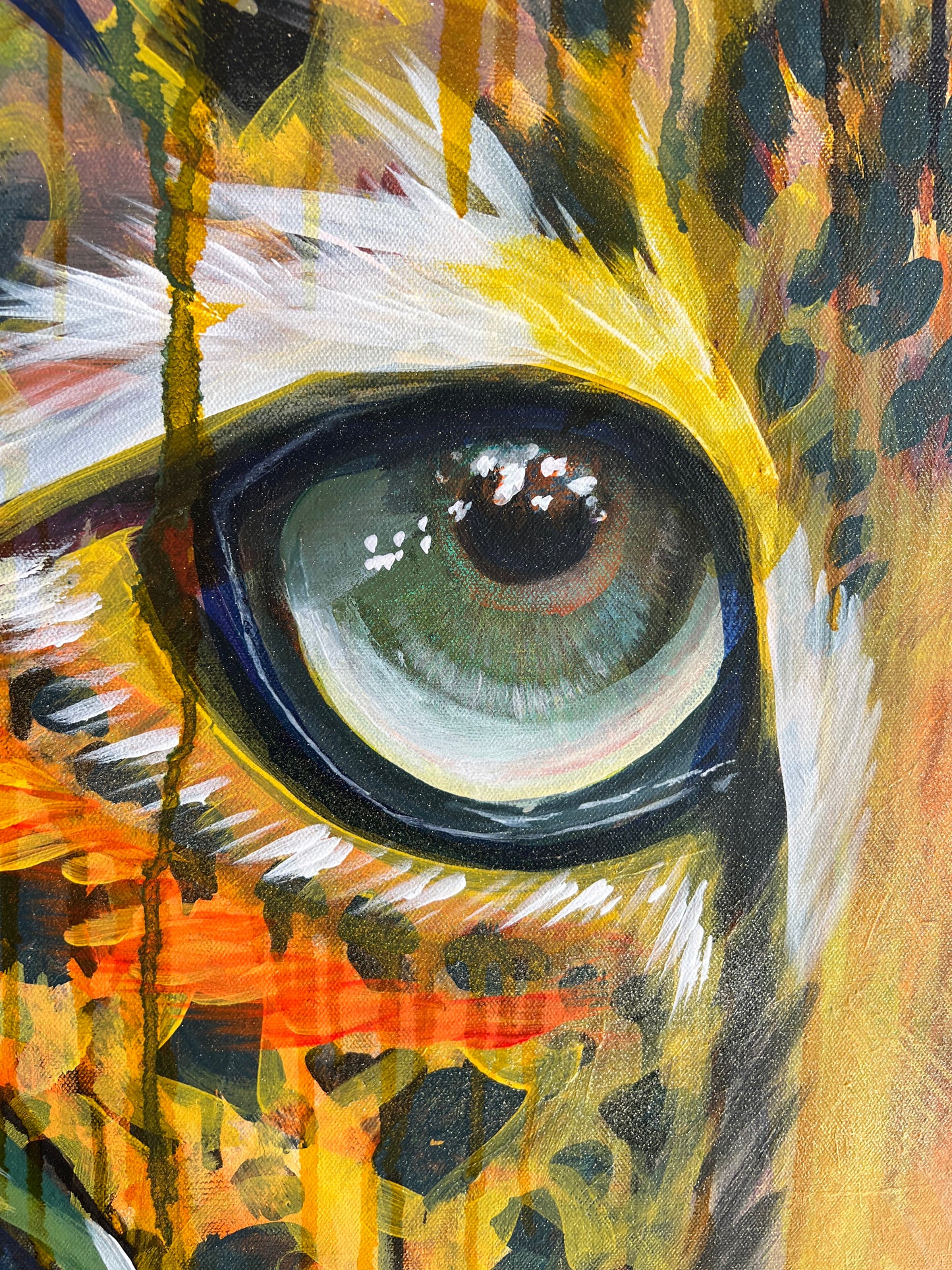 Eyes of the Jungle