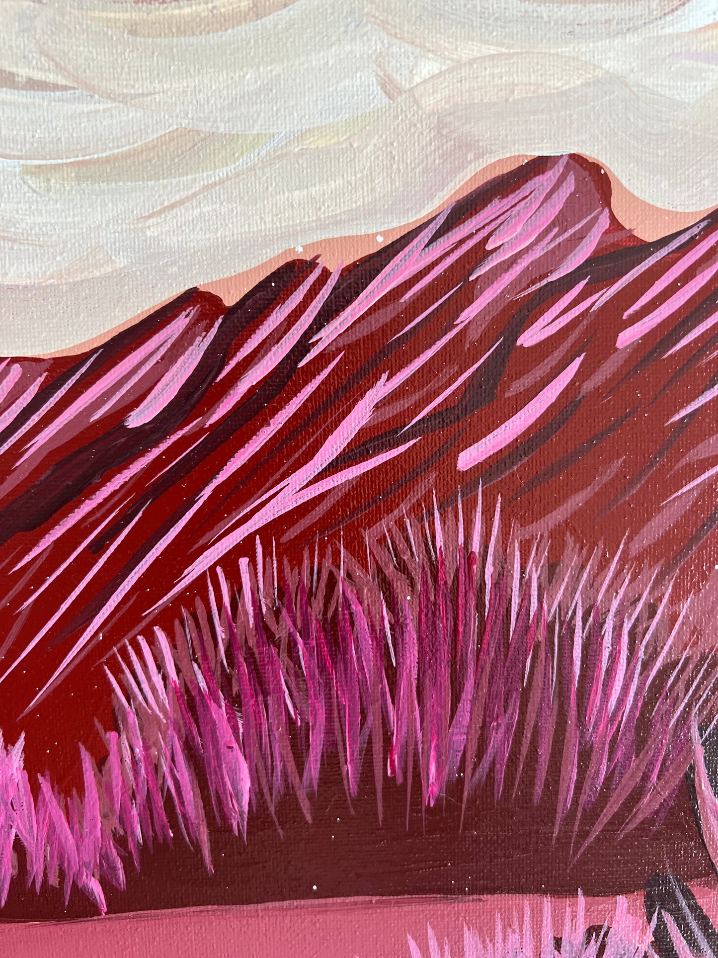 Anza-Borrego