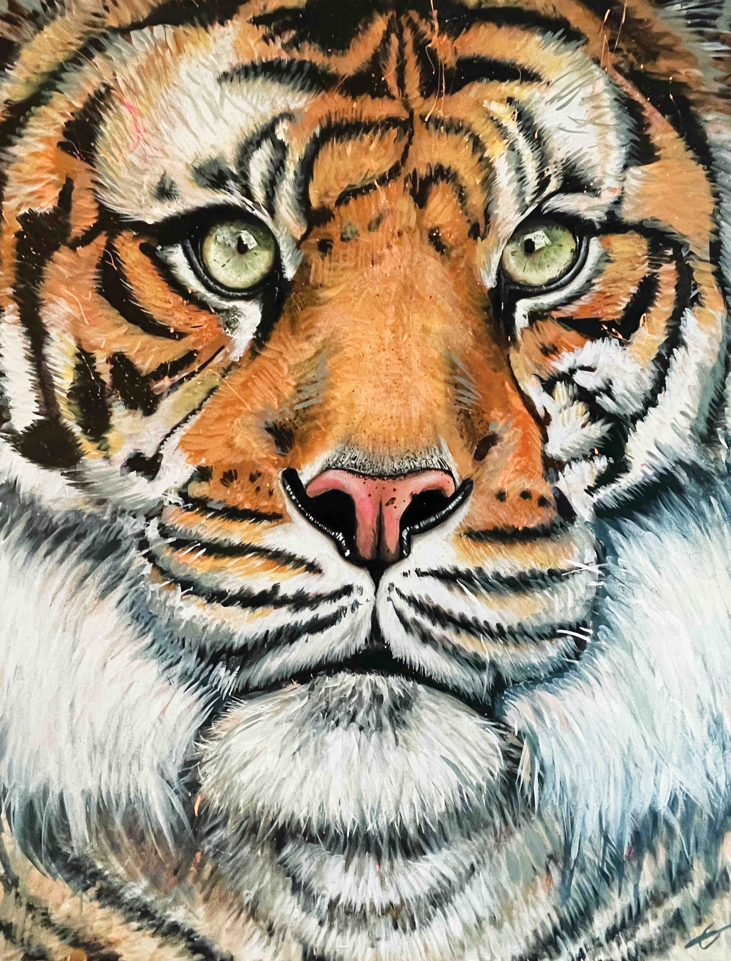 Only the Tigers Survive